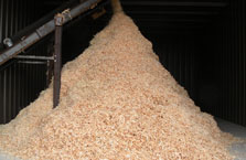 Shavings
