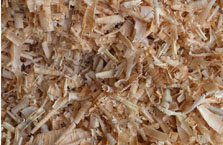 Shavings Close-up