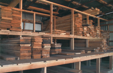 Ponderosa Pine Furniture Lumber 02