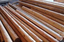 Hand Peeled Latillas 01