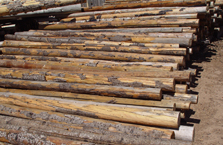 Hand Peeled Latillas 04