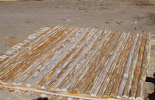 Hand Peeled Latillas 07