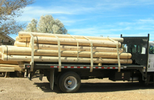 Hand Peeled Vigas 02