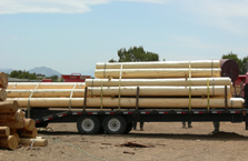 Hand Peeled Vigas 04